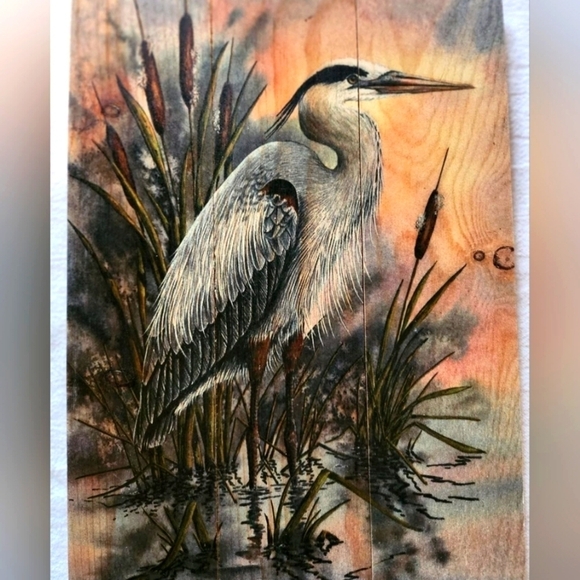 Bartholet's First Light Heron Inside/Outside 11